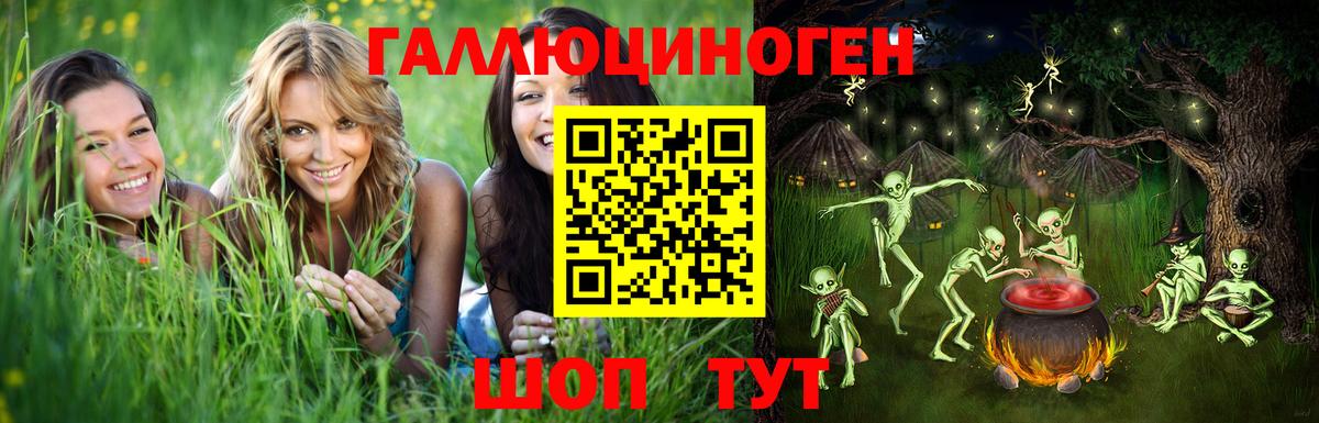Галлюциногенные грибы Psilocybine cubensis Славянск-на-Кубани