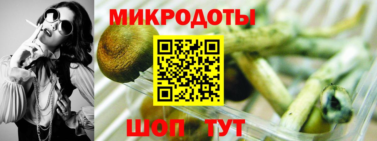 Псилоцибиновые грибы MAGIC MUSHROOMS  Вход с VPN  Славянск-на-Кубани  Псилоцибиновые грибы Magic Shrooms 